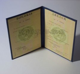 Диплом о Высшем Образовании Литовской ССР в Омске