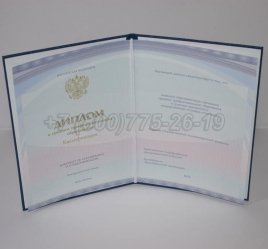 Диплом Колледжа 2016г Киржач в Омске