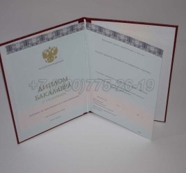 Красный Диплом Бакалавра 2019г ООО "Знак" в Омске