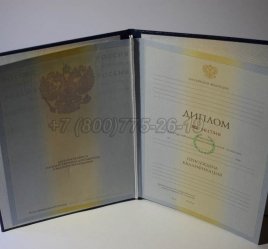 Диплом о Высшем Образовании 2009г ГОЗНАК в Омске