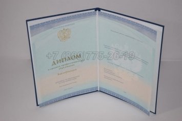 Диплом Техникума 2020г СпецБланк в Омске