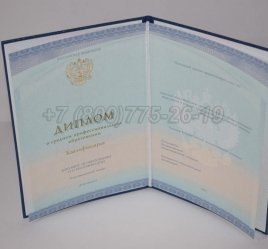 Диплом Колледжа 2022г СпецБланк в Омске