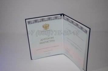 Диплом Магистра 2022г ООО "Знак" в Омске