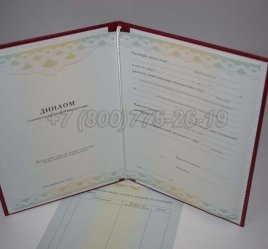 Диплом о Переподготовке 2023г ГОЗНАК в Омске